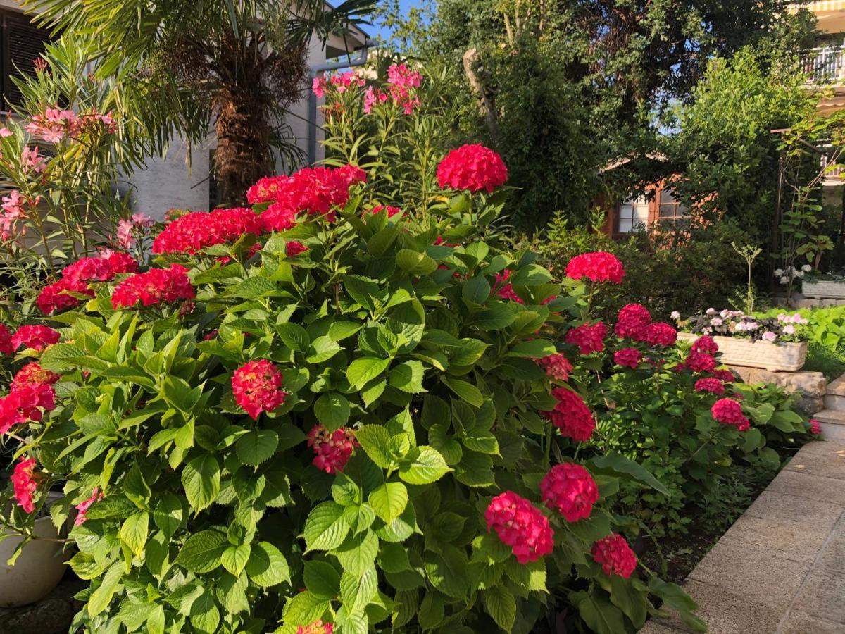 Casa Hortensia Njivice Exterior photo